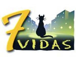 20080428010520-7vidas2.jpg