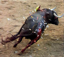 20080710185352-toro.jpg