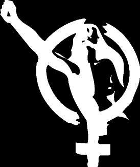 20080815142256-feminismo2bl0.jpg