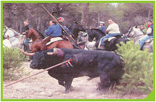 20080917195420-tordesillas3.jpg